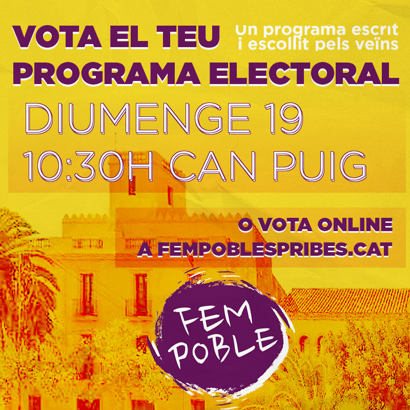 VOTA EL TEU PROGRAMA ELECTORAL!